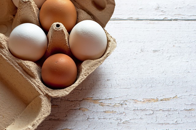 Costoco Egg Recalled: How Salmonella Can Turn Your Breakfast into a Nightmare