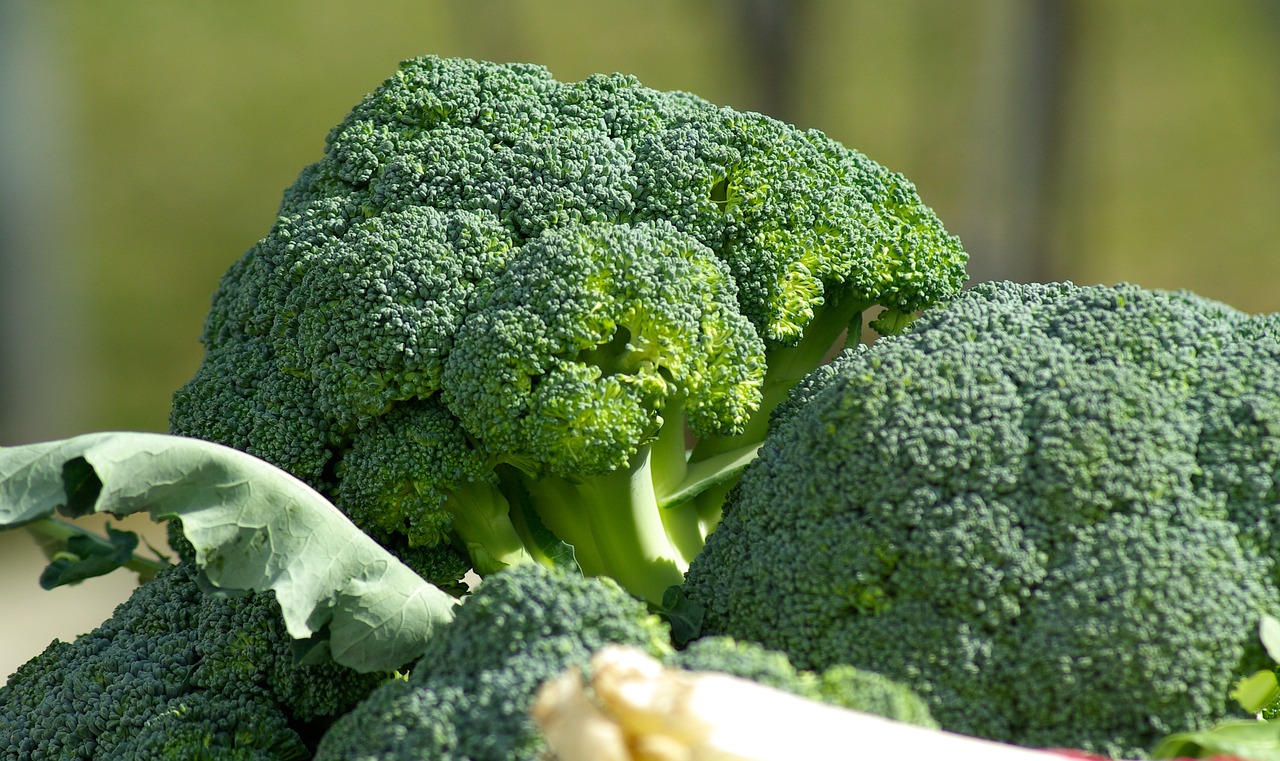 Broccoli: The Superhero of Vegetables or a Villain in Your Freezer? Learn From Walmart Broccoli Florets recall